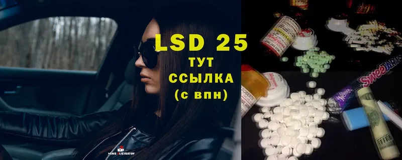 купить наркотики цена  Пошехонье  Лсд 25 экстази ecstasy 